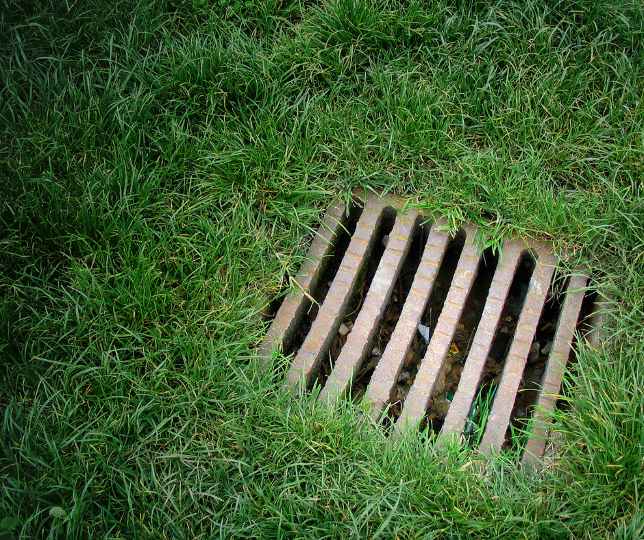 Drainage Solution: Prevent Flooding and Protect Your Lawn