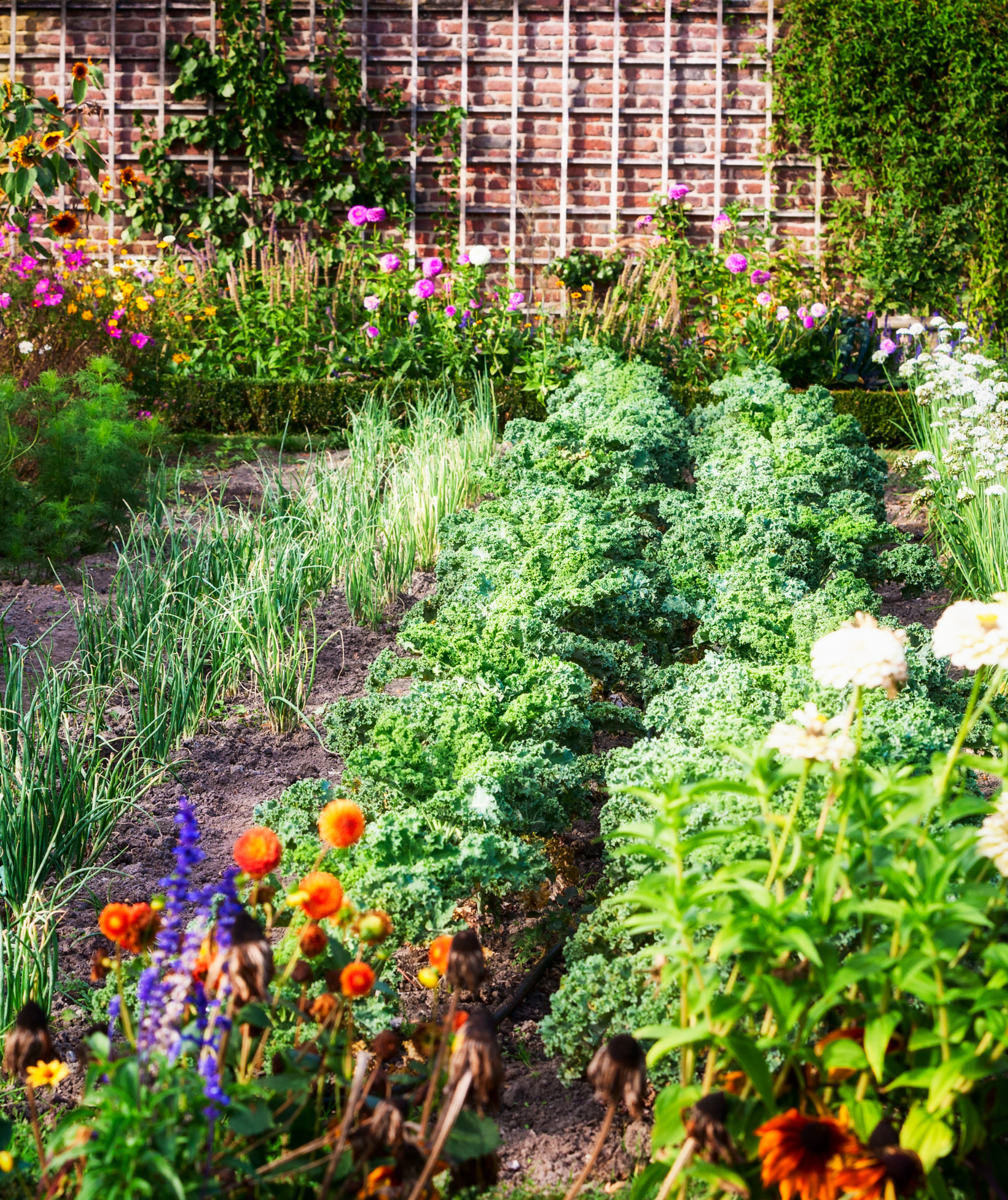 Lush Vegetable Garden: Expert Landscaping Services in Houston