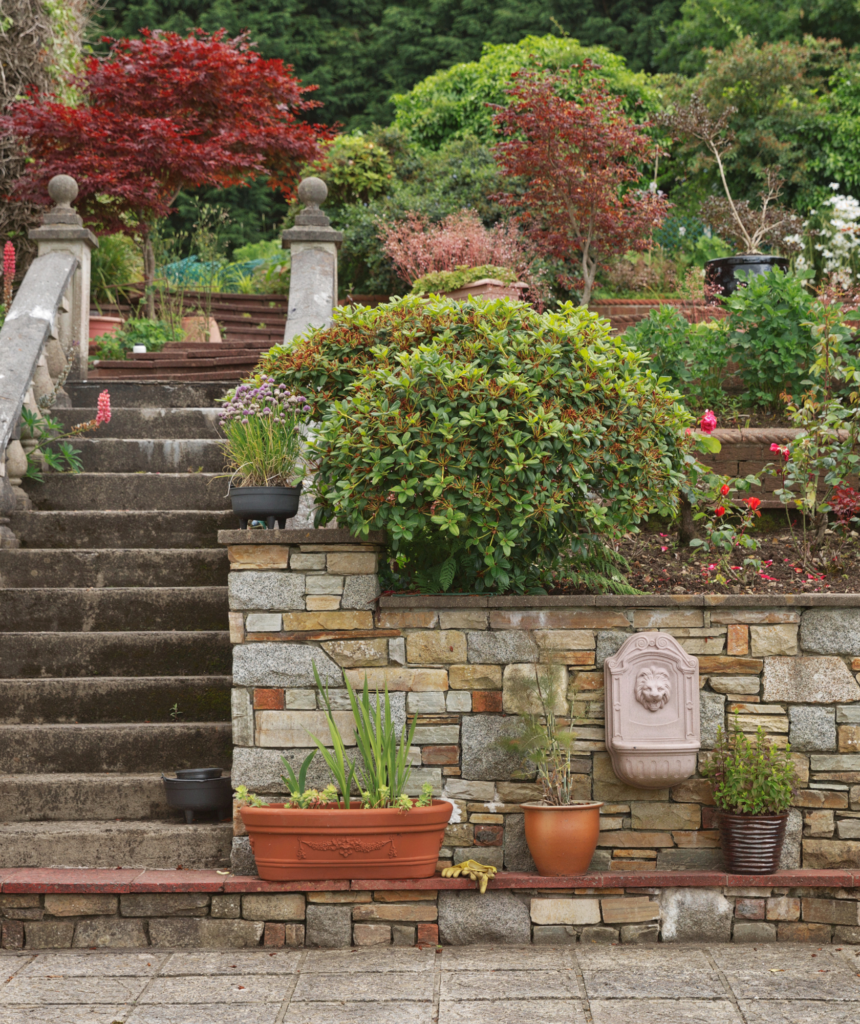 Beautiful Terraced Garden with Stone Walls and Lush Plant Life