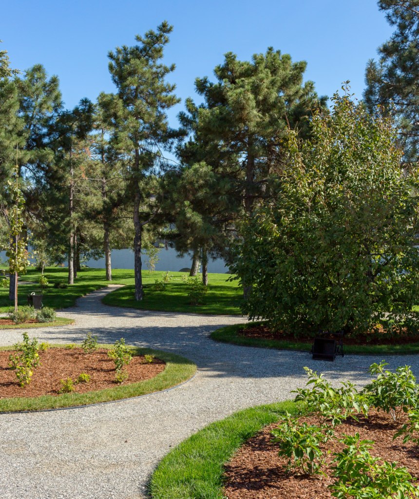 Beautiful Park Landscape with Winding Paths and Lush Greenery