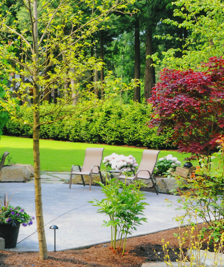 Serene Backyard Oasis with Lush Greenery and Patio Seating