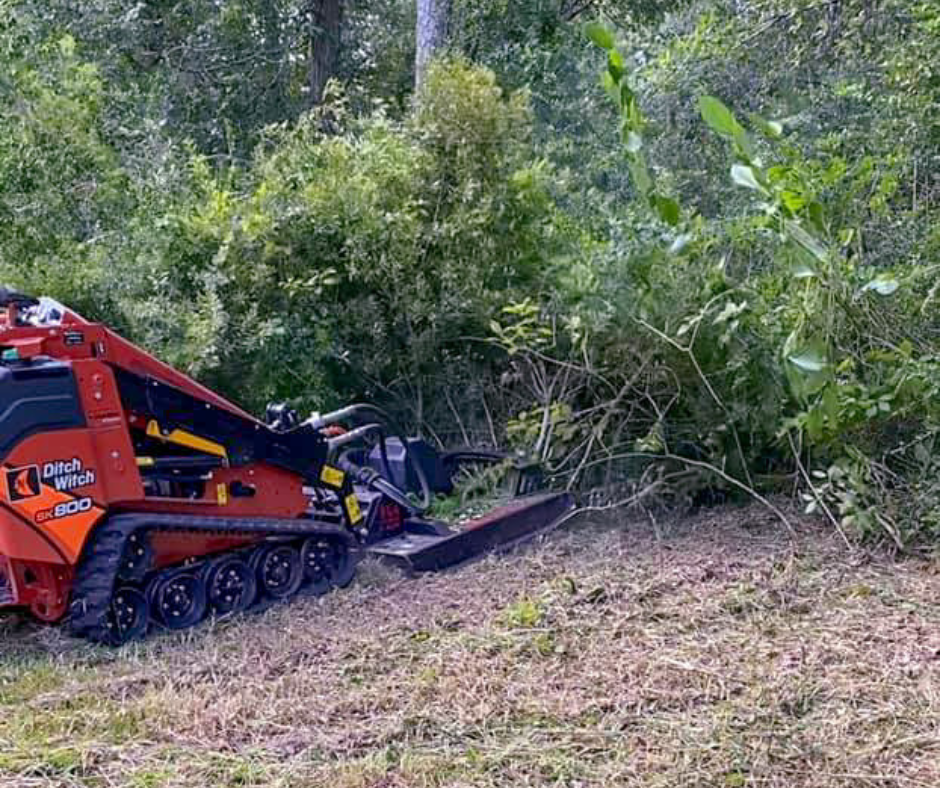 overgrown yard cleanup service