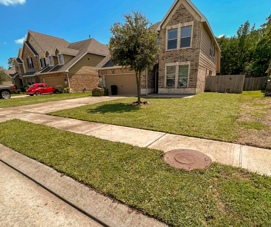 Lawn Revival: After Image, showcasing a lush and healthy lawn