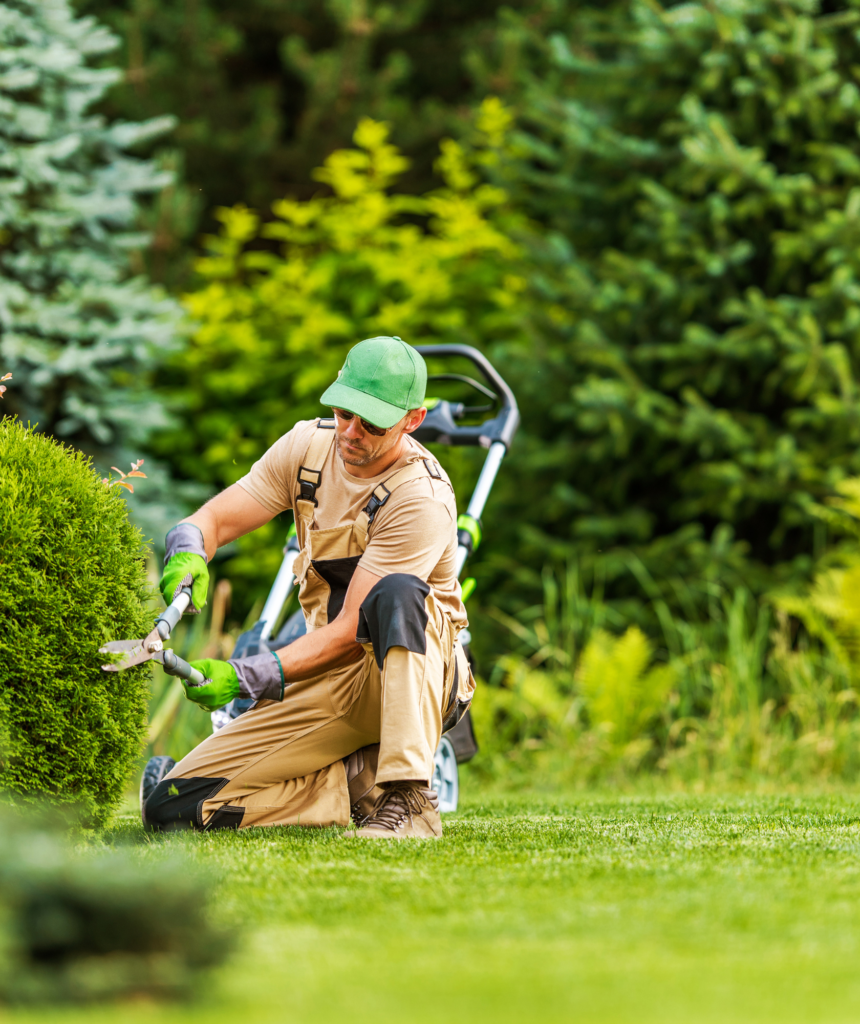 Professional Tree and Shrub Planting Services: Enhancing Your Landscape