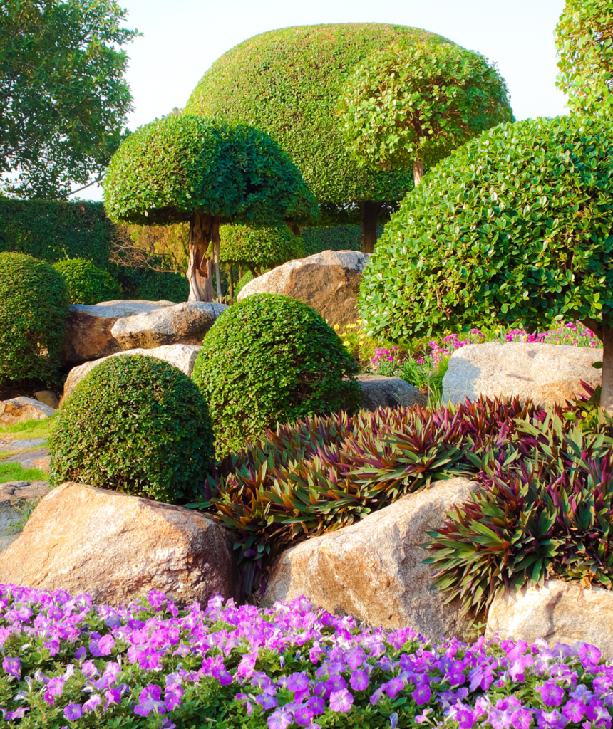 Beautiful Landscape with Topiary Trees: Expert Tree and Shrub Planting Services