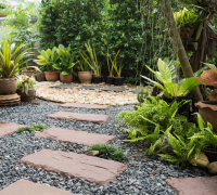 Professional residential landscaping in Houston, showcasing a modern design with a stone pathway and diverse plant life.